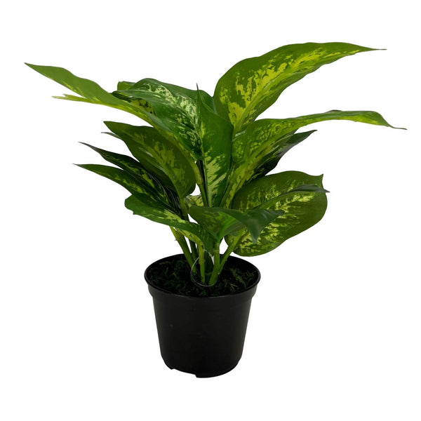 Artificial Cane Plant Real Touch 28cm