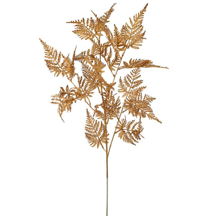 Dark Blush (Light Brown) Fern Spray 79cm