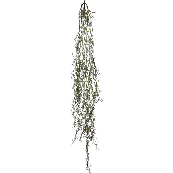 Fine Hanging Spanish Moss 100cm