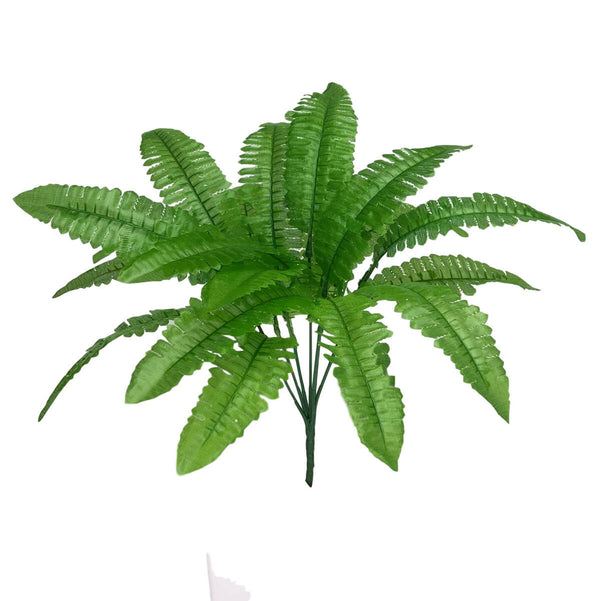Green Boston Fern Bush 41cm
