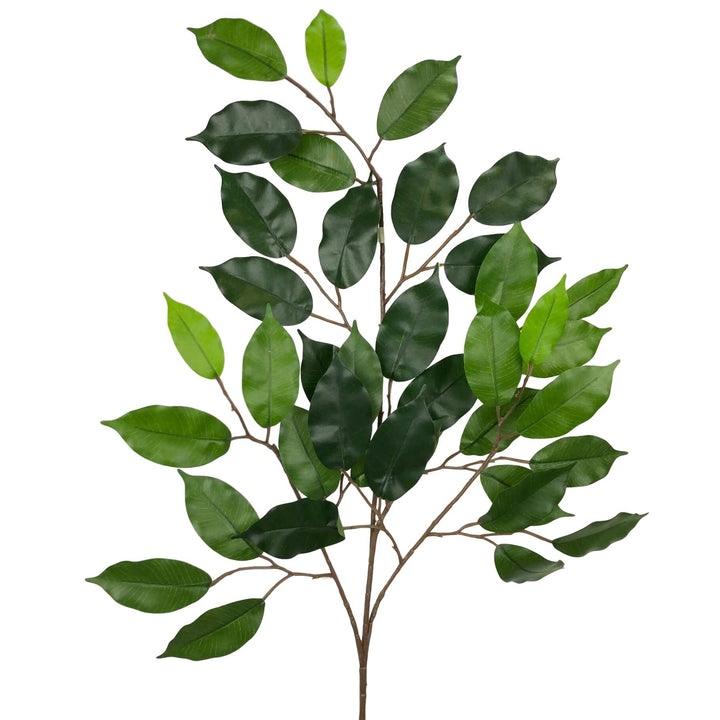 Green Ficus Leaf Spray  67cm