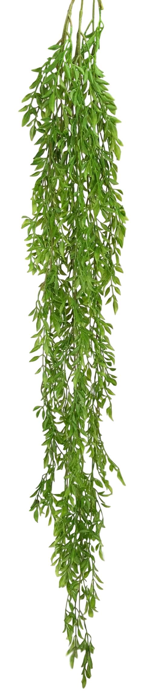 Green Hanging Salix Vine 145cm