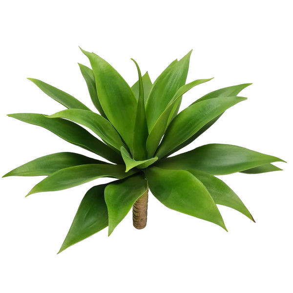 Large Agave Plant 45cm