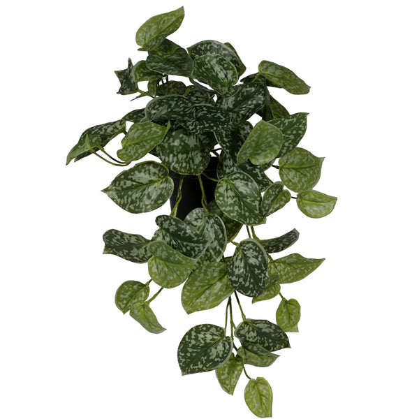 Real Touch Pothos Hanging Bush in Pot 45cm