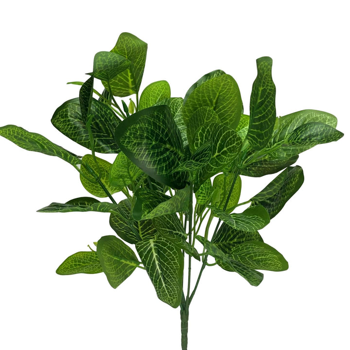 Variegated Green Bush 44cm