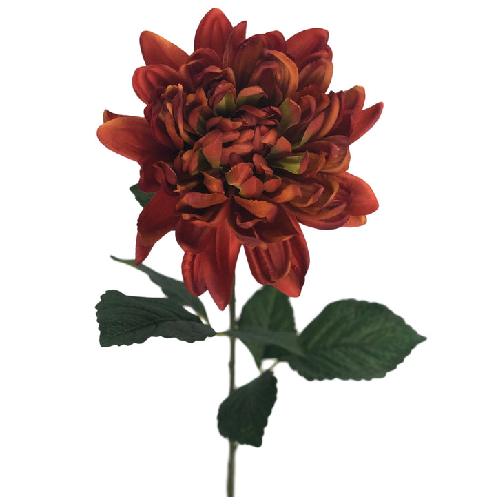 Rust Dahlia Stem